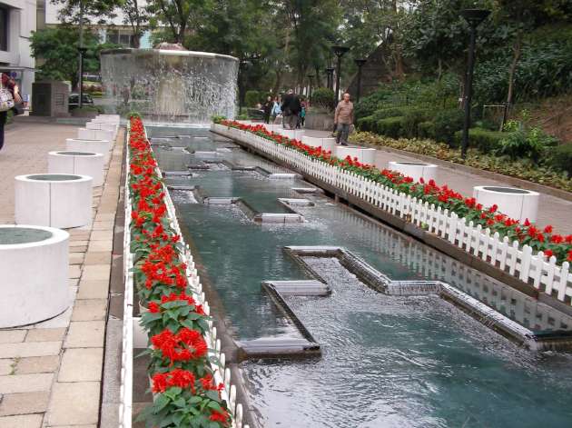 公園内の風景